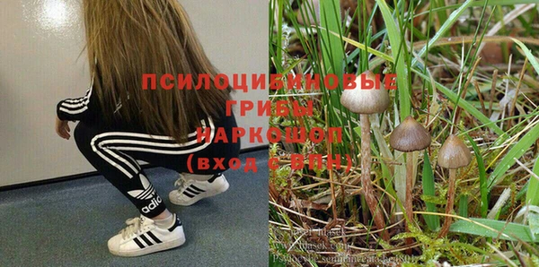 амфетамин Новодвинск